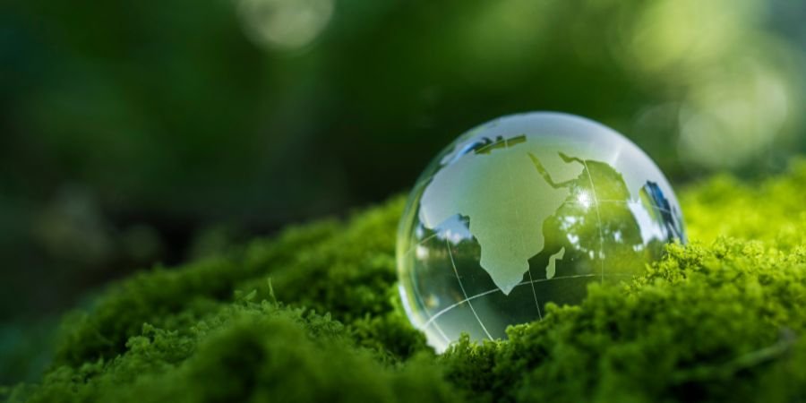 Sustainable Business Becomes a Global Growth Priority